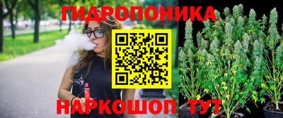 PSILOCYBIN Берёзовский