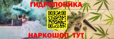 PSILOCYBIN Берёзовский