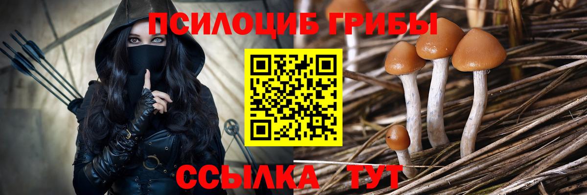 Псилоцибиновые грибы Cubensis  Вход с VPN  Галлюциногенные грибы Cubensis  Ижевск 